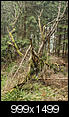 Kliknij obrazek, aby uzyskać większą wersję

Nazwa:	DSC00208IN.jpg
Wyświetleń:	175
Rozmiar:	582,5 KB
ID:	114459