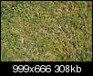 Kliknij obrazek, aby uzyskać większą wersję

Nazwa:	DSC00236IN.jpg
Wyświetleń:	202
Rozmiar:	308,3 KB
ID:	114647