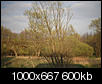 Kliknij obrazek, aby uzyskać większą wersję

Nazwa:	DSC00248IN.jpg
Wyświetleń:	204
Rozmiar:	600,0 KB
ID:	114649
