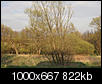 Kliknij obrazek, aby uzyskać większą wersję

Nazwa:	DSC00250IN.jpg
Wyświetleń:	187
Rozmiar:	821,8 KB
ID:	114650