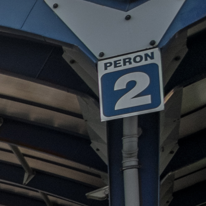 Nazwa:  DSCF4295crop2.jpg
Wyświetleń: 408
Rozmiar:  420,7 KB