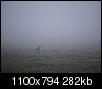 Kliknij obrazek, aby uzyskać większą wersję

Nazwa:	_4086803.jpg
Wyświetleń:	70
Rozmiar:	282,0 KB
ID:	114966