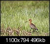 Kliknij obrazek, aby uzyskać większą wersję

Nazwa:	_4086893.jpg
Wyświetleń:	65
Rozmiar:	495,6 KB
ID:	114968