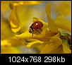 Kliknij obrazek, aby uzyskać większą wersję

Nazwa:	29032014_P3290474.jpg
Wyświetleń:	144
Rozmiar:	297,8 KB
ID:	114983