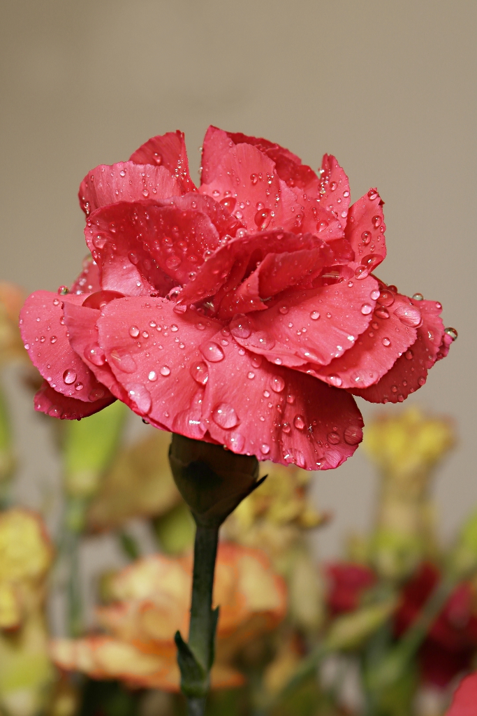 Kliknij obrazek, aby uzyskać większą wersję

Nazwa:	be_4136253xyz.JPG
Wyświetleń:	120
Rozmiar:	536,3 KB
ID:	115227