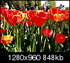 Kliknij obrazek, aby uzyskać większą wersję

Nazwa:	P5050131 (2) - Kopia.jpg
Wyświetleń:	36
Rozmiar:	848,2 KB
ID:	115513