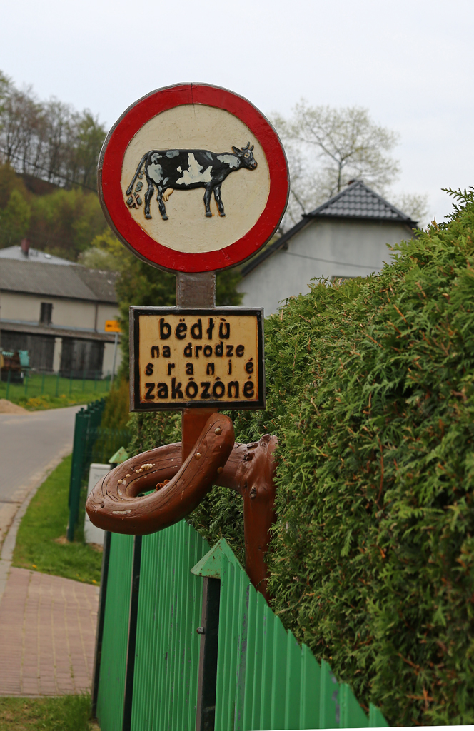 Nazwa:  N72A2823.jpg
Wyświetleń: 107
Rozmiar:  552,1 KB