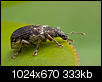 Kliknij obrazek, aby uzyskać większą wersję

Nazwa:	chrobok.JPG
Wyświetleń:	186
Rozmiar:	333,1 KB
ID:	115656