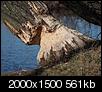 Kliknij obrazek, aby uzyskać większą wersję

Nazwa:	IWOH0290 mZD 300mm 6,7 2000px.jpg
Wyświetleń:	1358
Rozmiar:	560,8 KB
ID:	115746