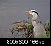 Kliknij obrazek, aby uzyskać większą wersję

Nazwa:	1340.jpg
Wyświetleń:	81
Rozmiar:	165,7 KB
ID:	116117