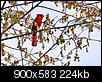 Kliknij obrazek, aby uzyskać większą wersję

Nazwa:	IMG_2591.jpg
Wyświetleń:	70
Rozmiar:	224,3 KB
ID:	116135