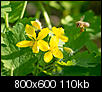 Kliknij obrazek, aby uzyskać większą wersję

Nazwa:	P5010150.jpg
Wyświetleń:	32
Rozmiar:	110,5 KB
ID:	116592