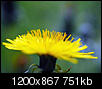 Kliknij obrazek, aby uzyskać większą wersję

Nazwa:	P4270061xy.jpg
Wyświetleń:	825
Rozmiar:	750,7 KB
ID:	116814