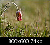Kliknij obrazek, aby uzyskać większą wersję

Nazwa:	P5052294a.jpg
Wyświetleń:	128
Rozmiar:	74,4 KB
ID:	116870