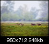 Kliknij obrazek, aby uzyskać większą wersję

Nazwa:	_5037334.jpg
Wyświetleń:	59
Rozmiar:	247,9 KB
ID:	117657