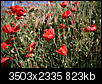 Kliknij obrazek, aby uzyskać większą wersję

Nazwa:	IMG_8596.jpg
Wyświetleń:	51
Rozmiar:	823,1 KB
ID:	118082