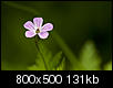 Kliknij obrazek, aby uzyskać większą wersję

Nazwa:	P5238146.jpg
Wyświetleń:	38
Rozmiar:	131,0 KB
ID:	118558