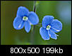 Kliknij obrazek, aby uzyskać większą wersję

Nazwa:	P5238135.jpg
Wyświetleń:	40
Rozmiar:	199,2 KB
ID:	118560