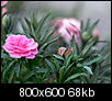 Kliknij obrazek, aby uzyskać większą wersję

Nazwa:	P5252416a.jpg
Wyświetleń:	67
Rozmiar:	68,3 KB
ID:	118832