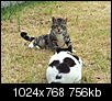 Kliknij obrazek, aby uzyskać większą wersję

Nazwa:	XZ260041.jpg
Wyświetleń:	57
Rozmiar:	755,9 KB
ID:	118995