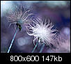Kliknij obrazek, aby uzyskać większą wersję

Nazwa:	P5312518.jpg
Wyświetleń:	60
Rozmiar:	147,4 KB
ID:	119477