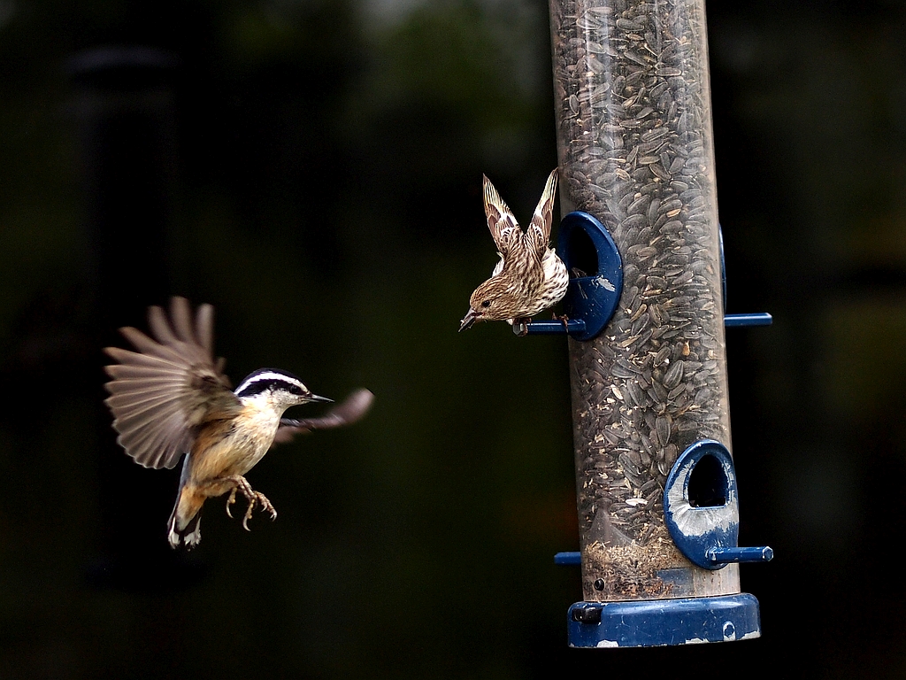 Nazwa:  E5176607rs.jpg
Wyświetleń: 69
Rozmiar:  564,2 KB