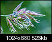 Kliknij obrazek, aby uzyskać większą wersję

Nazwa:	_DSC5030.JPG
Wyświetleń:	84
Rozmiar:	526,5 KB
ID:	119561