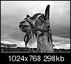Kliknij obrazek, aby uzyskać większą wersję

Nazwa:	XZ230009.jpg
Wyświetleń:	310
Rozmiar:	297,7 KB
ID:	119666