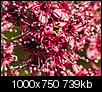 Kliknij obrazek, aby uzyskać większą wersję

Nazwa:	P6073405.jpg
Wyświetleń:	38
Rozmiar:	738,7 KB
ID:	119924