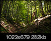 Kliknij obrazek, aby uzyskać większą wersję

Nazwa:	_DSC5620.jpg
Wyświetleń:	51
Rozmiar:	282,2 KB
ID:	120314