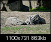 Kliknij obrazek, aby uzyskać większą wersję

Nazwa:	_DSC0202_DxO_small.jpg
Wyświetleń:	103
Rozmiar:	862,7 KB
ID:	120405