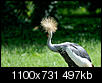 Kliknij obrazek, aby uzyskać większą wersję

Nazwa:	_DSC0180_DxO_small.jpg
Wyświetleń:	96
Rozmiar:	497,0 KB
ID:	120408