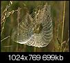 Kliknij obrazek, aby uzyskać większą wersję

Nazwa:	15.jpg
Wyświetleń:	147
Rozmiar:	698,9 KB
ID:	120764
