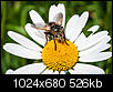 Kliknij obrazek, aby uzyskać większą wersję

Nazwa:	_DSC5044-2.JPG
Wyświetleń:	73
Rozmiar:	526,4 KB
ID:	120826