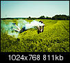 Kliknij obrazek, aby uzyskać większą wersję

Nazwa:	ola3.jpg
Wyświetleń:	98
Rozmiar:	811,4 KB
ID:	120953