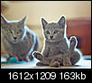 Kliknij obrazek, aby uzyskać większą wersję

Nazwa:	P6010043.jpg
Wyświetleń:	83
Rozmiar:	162,6 KB
ID:	121033