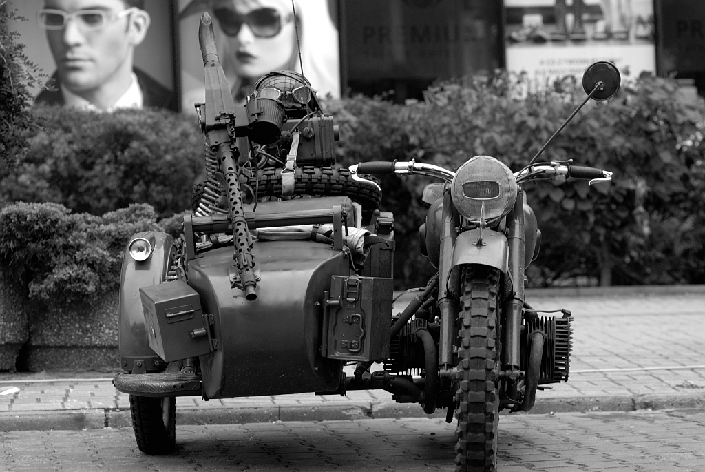 Nazwa:  DSC_1938czb.jpg
Wyświetleń: 956
Rozmiar:  408,1 KB
