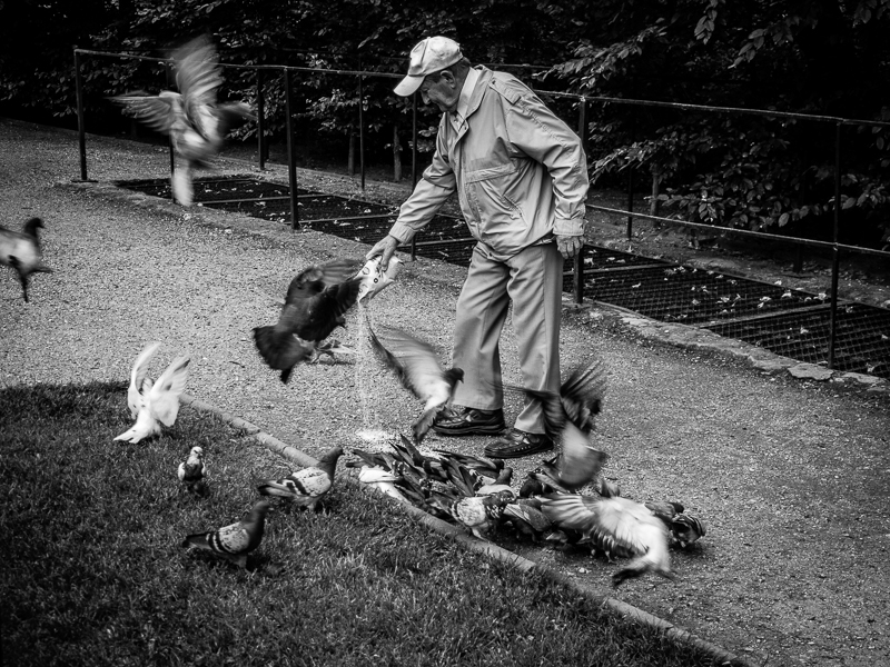 Nazwa:  1404082511P6040208-2.jpg
Wyświetleń: 244
Rozmiar:  447,3 KB