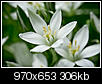 Kliknij obrazek, aby uzyskać większą wersję

Nazwa:	EST_2014_Ĺniedek_1.jpg
Wyświetleń:	72
Rozmiar:	305,5 KB
ID:	123067
