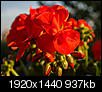 Kliknij obrazek, aby uzyskać większą wersję

Nazwa:	m_P7030042.jpg
Wyświetleń:	90
Rozmiar:	936,8 KB
ID:	123220