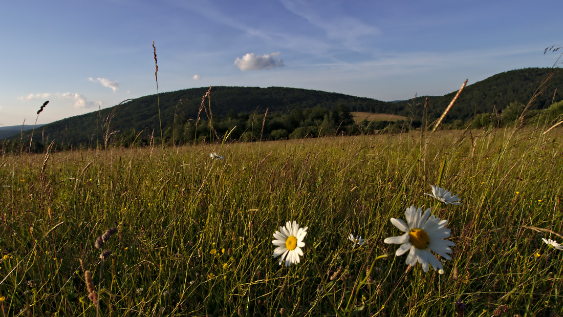 Kliknij obrazek, aby uzyskać większą wersję

Nazwa:	P7030380ol.jpg
Wyświetleń:	185
Rozmiar:	334,1 KB
ID:	123251