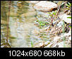 Kliknij obrazek, aby uzyskać większą wersję

Nazwa:	_DSC7683.JPG
Wyświetleń:	36
Rozmiar:	668,3 KB
ID:	123380