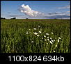 Kliknij obrazek, aby uzyskać większą wersję

Nazwa:	_5187548.jpg
Wyświetleń:	44
Rozmiar:	633,7 KB
ID:	123414