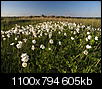 Kliknij obrazek, aby uzyskać większą wersję

Nazwa:	_5107498.jpg
Wyświetleń:	40
Rozmiar:	605,4 KB
ID:	123415