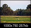 Kliknij obrazek, aby uzyskać większą wersję

Nazwa:	_7018087.jpg
Wyświetleń:	47
Rozmiar:	256,8 KB
ID:	123429