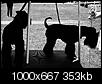 Kliknij obrazek, aby uzyskać większą wersję

Nazwa:	P7060148xss.jpg
Wyświetleń:	40
Rozmiar:	352,8 KB
ID:	123529