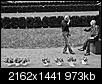 Kliknij obrazek, aby uzyskać większą wersję

Nazwa:	59-lcf.jpg
Wyświetleń:	82
Rozmiar:	973,2 KB
ID:	123622