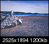 Kliknij obrazek, aby uzyskać większą wersję

Nazwa:	P6090730-2.jpg
Wyświetleń:	38
Rozmiar:	1,17 MB
ID:	123715