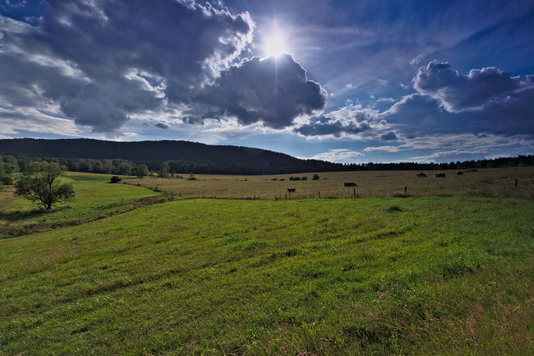 Kliknij obrazek, aby uzyskać większą wersję

Nazwa:	P7030281ol.jpg
Wyświetleń:	211
Rozmiar:	322,1 KB
ID:	123948