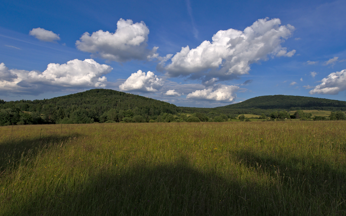 Kliknij obrazek, aby uzyskać większą wersję

Nazwa:	P7030311ol.jpg
Wyświetleń:	195
Rozmiar:	344,8 KB
ID:	123950